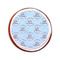 Lake House #2 Printed Icing Circle - Small - On Cookie