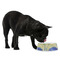 Waterloo Bridge by Claude Monet Plastic Pet Bowls - Medium - LIFESTYLE