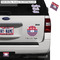 Patriotic Fleur de Lis Exterior Car Accessories