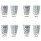 Birthday Princess Glass Shot Glass - Standard - Set of 4 - APPROVAL