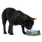 Gone Fishing Plastic Pet Bowls - Medium - LIFESTYLE