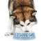 Live Love Lake Plastic Pet Bowls - Large - LIFESTYLE