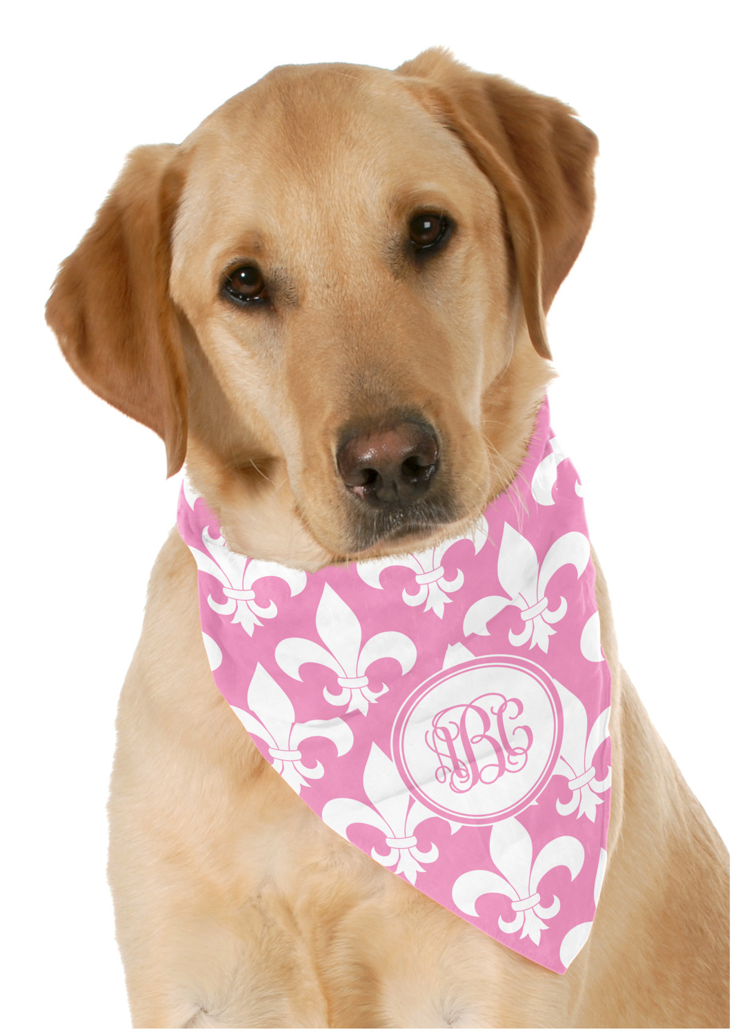 Monogram shops dog bandana