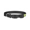 Summer Camping Dog Collar - Large - Back