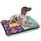 Pinata Birthday Outdoor Dog Beds - Large - IN CONTEXT