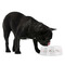 Wedding People Plastic Pet Bowls - Medium - LIFESTYLE