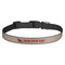 Farm Quotes Dog Collar - Medium - Front