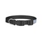 Housewarming Dog Collar - Small - Back