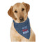 American Quotes Bandana - On Dog