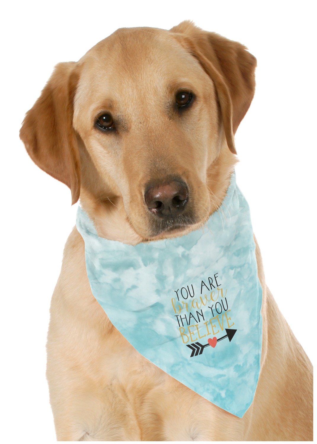 Inspirational Quotes Dog Bandana Scarf YouCustomizeIt   Inspirational Quotes Bandana On Dog 