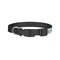 Donuts Dog Collar - Small - Back