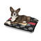 Movie Theater Outdoor Dog Beds - Medium - IN CONTEXT