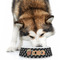 Movie Theater Plastic Pet Bowls - Large - LIFESTYLE