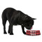 Lumberjack Plaid Plastic Pet Bowls - Medium - LIFESTYLE