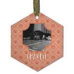 Pet Photo Flat Glass Ornament - Hexagon