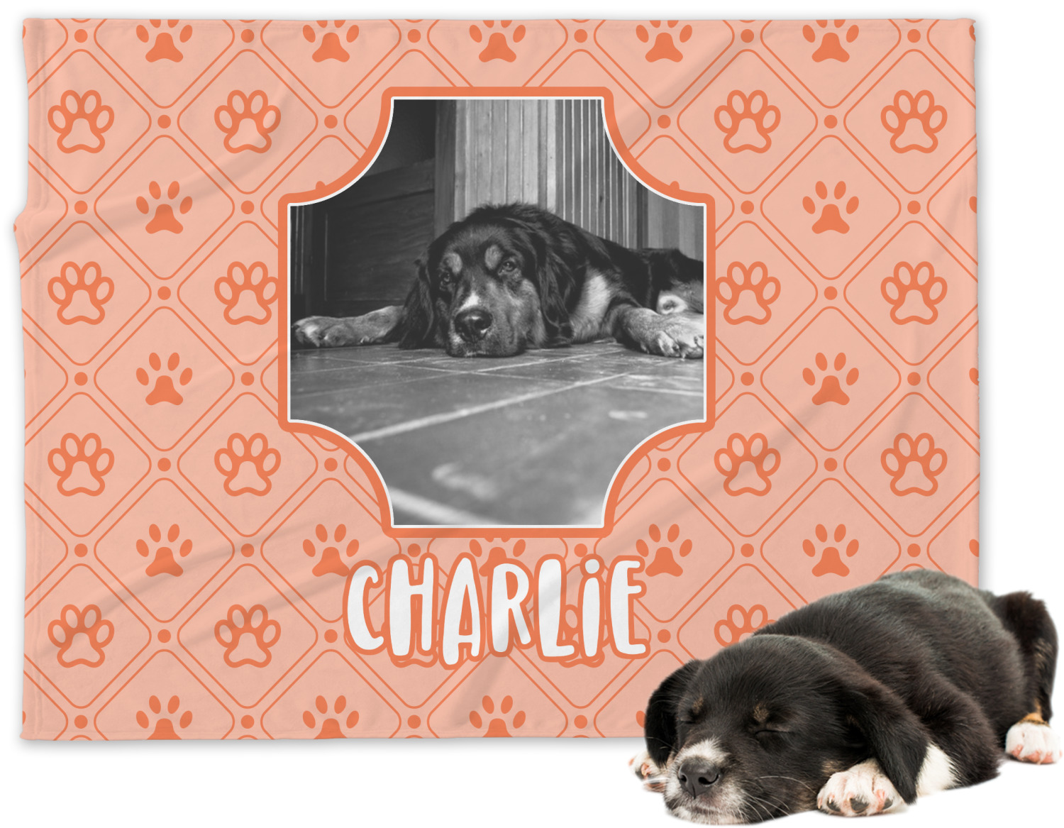 Pet Photo Minky Dog Blanket - Regular (Personalized ...