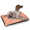 Pet Photo Outdoor Dog Beds - Large - IN CONTEXT