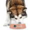 Pet Photo Plastic Pet Bowls - Large - LIFESTYLE