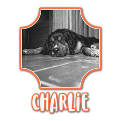 Pet Photo Graphic Decal - Large (Personalized)