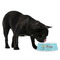 Sundance Yoga Studio Plastic Pet Bowls - Medium - LIFESTYLE