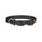 Fire Dog Collar - Small - Back