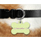 Sloth Bone Shaped Dog Tag on Collar & Dog