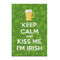 Kiss Me I'm Irish 20x30 - Matte Poster - Front View