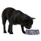 Chinoiserie Plastic Pet Bowls - Medium - LIFESTYLE