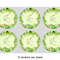 Tropical Leaves Border 3" Multipurpose Round Labels - Sheet