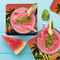 Tropical Sunset Coaster Set - LIFESTYLE