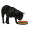 Tropical Sunset Plastic Pet Bowls - Medium - LIFESTYLE