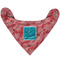 Coral & Teal Bandana Flat Approval