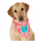 Coral & Teal Bandana - On Dog