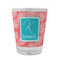 Coral & Teal Glass Shot Glass - Standard - FRONT