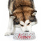 Santa Clause Making Snow Angels Plastic Pet Bowls - Large - LIFESTYLE