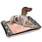 Unicorns Outdoor Dog Beds - Large - IN CONTEXT