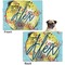 Softball Microfleece Dog Blanket - Regular - Front & Back