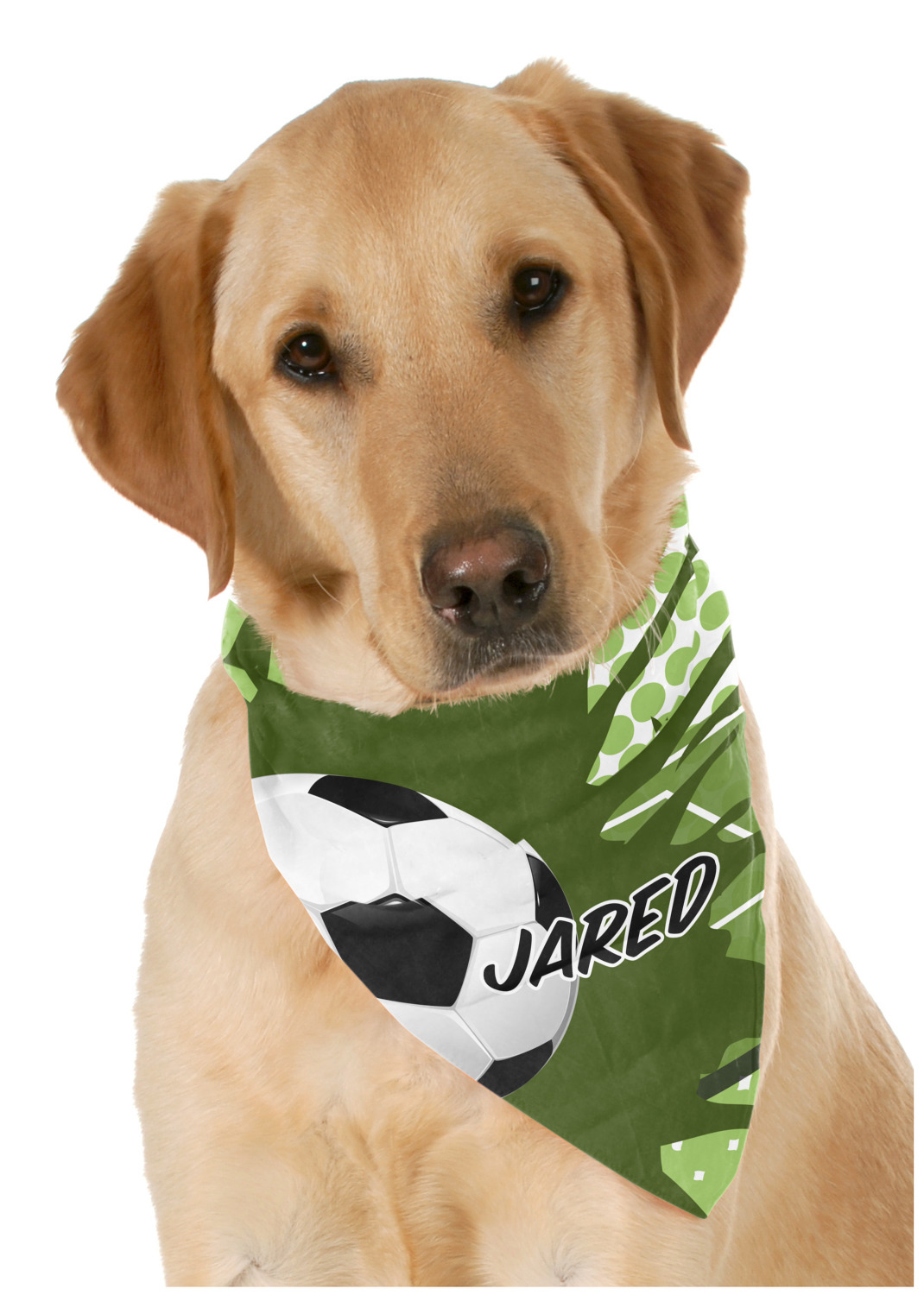 dog sports bandanas