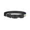 Superhero in the City Dog Collar - Small - Back