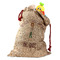 Doctor Avatar Santa Bag - Front (stuffed w toys) PARENT