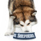 Medical Doctor Plastic Pet Bowls - Large - LIFESTYLE