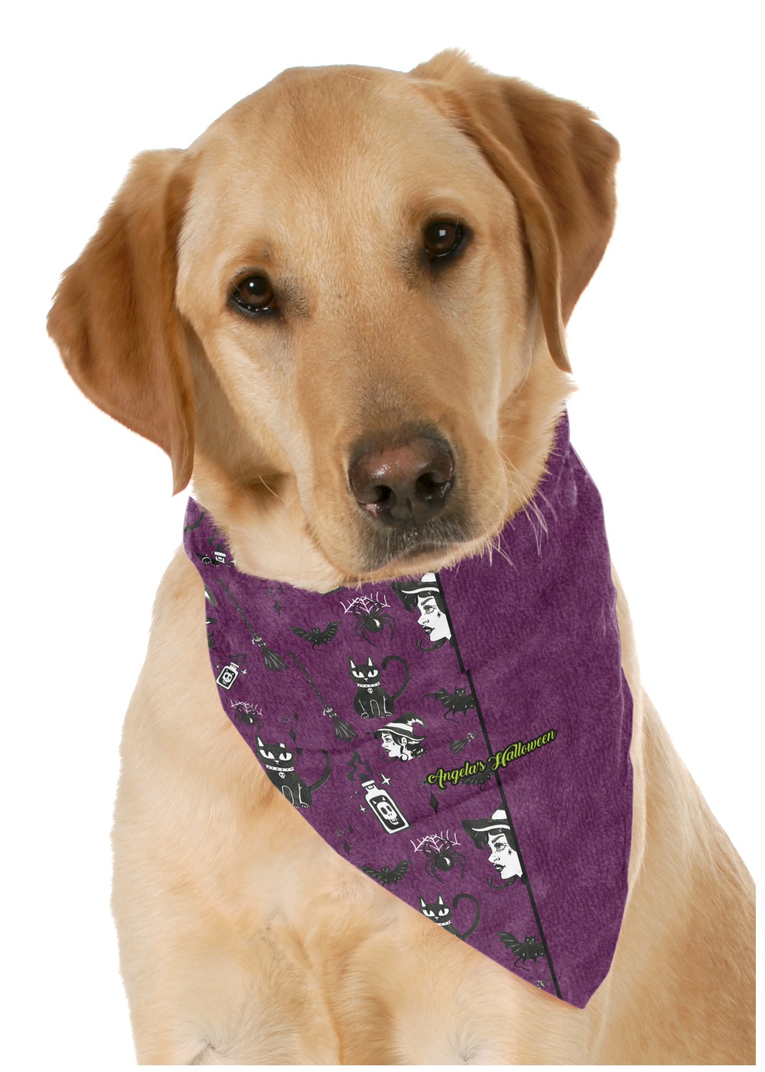 halloween pet bandanas