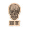 Skulls Wooden Sticker - Main