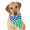 Football Bandana - On Dog