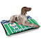 Football Outdoor Dog Beds - Large - IN CONTEXT