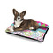 Harlequin & Peace Signs Outdoor Dog Beds - Medium - IN CONTEXT