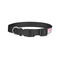 Zebra & Floral Dog Collar - Small - Back