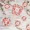 Poppies Party Supplies Combination Image - All items - Plates, Coasters, Fans