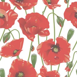 Poppies Wallpaper & Surface Covering (Peel & Stick 24"x 24" Sample)