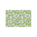 Wild Daisies Small Tissue Papers Sheets - Lightweight